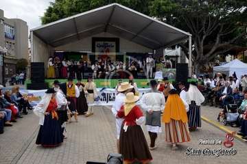 II Festival Tajea y Torna 7 Islas en Los Llanos de Telde (Francisco Javier Santana)
